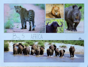 Cartes · Cartes postales Afrique