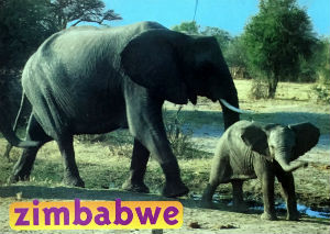 Cartes · Cartes postales Afrique