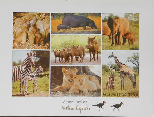 Cartes · Cartes postales Afrique
