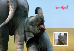 Cartes · Cartes postales Afrique