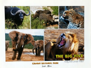 Cartes · Cartes postales Afrique