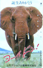 Cartes · Japon NTT