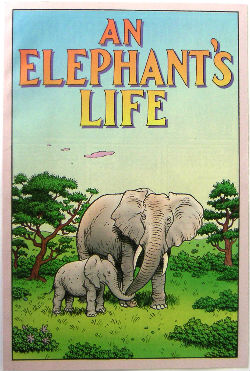 Livres · Livres EN Anglais