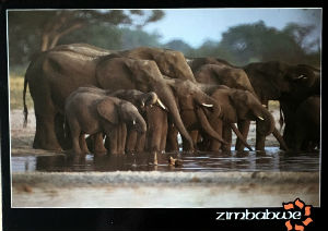 Cartes · Cartes postales Afrique