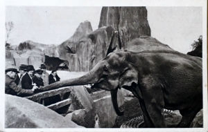 Cartes · Cartes postales Asie