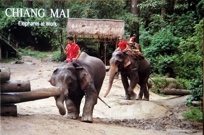 Cartes · Cartes postales Asie - Éléphants d'Asie