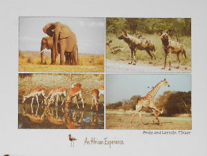 Cartes · Cartes postales Afrique