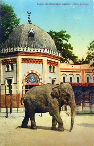 Cartes · Cartes postales - Zoos d'Europe