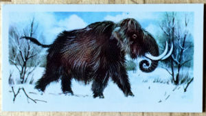 Cartes · Brooke Bond Tea