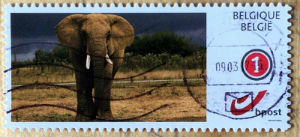 Timbres · Belgique