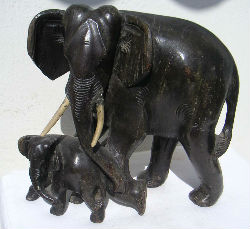 Diverses matières · Bois DE Divers Essences