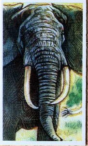 Cartes · Brooke Bond Tea