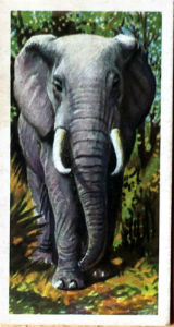 Cartes · Brooke Bond Tea