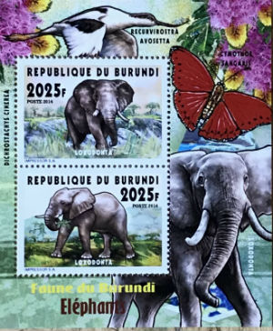 Timbres