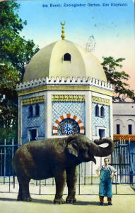 Cartes · Cartes postales - Zoos d'Europe