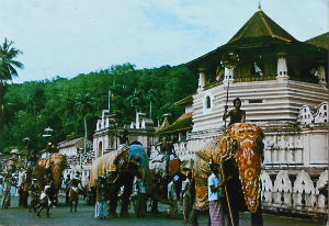 Cartes · Cartes postales Asie - Cambodge, Inde, Laos, Sri Lanka