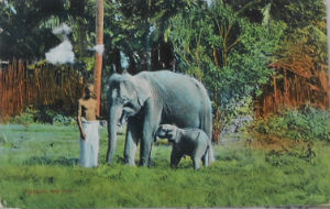 Cartes · Cartes postales Asie - Cambodge, Inde, Laos, Sri Lanka