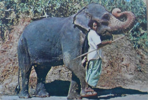 Cartes · Cartes postales Asie - Cambodge, Inde, Laos, Sri Lanka