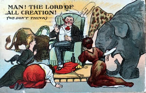 Cartes · Cartes postales Humour