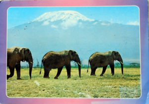 Cartes · Cartes postales Afrique