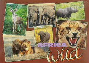 Cartes · Cartes postales Afrique
