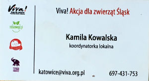 Cartes · Cartes DE Visites
