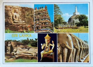 Cartes · Cartes postales Asie - Éléphants d'Asie