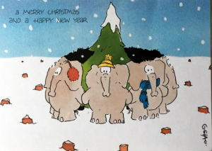 Cartes · Cartes postales Humour
