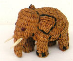 Objets insolites · Coquillages
