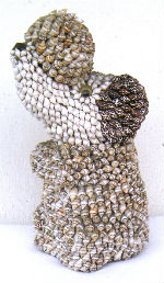 Objets insolites · Coquillages