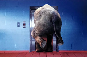 Cartes · Cartes postales Humour