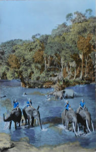 Cartes · Cartes postales Afrique