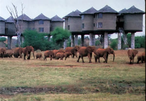 Cartes · Cartes postales Afrique
