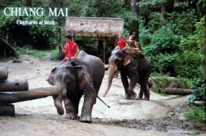 Cartes · Cartes postales Asie