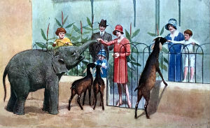 Cartes · Cartes postales Humour