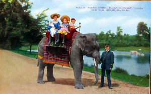 Cartes · Cartes postales Asie - Éléphants d'Asie