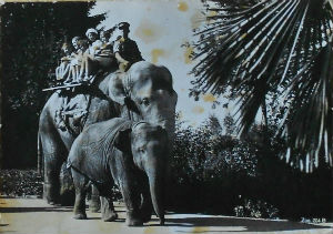 Cartes · Cartes postales - Zoos d'Europe