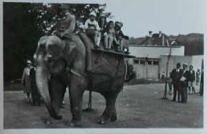 Cartes · Cartes postales - Zoos d'Europe