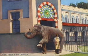 Cartes · Cartes postales - Zoos d'Europe
