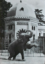Cartes · Cartes postales - Zoos d'Europe