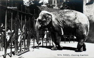 Cartes · Cartes postales Asie