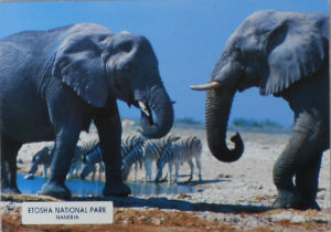 Cartes · Cartes postales Afrique