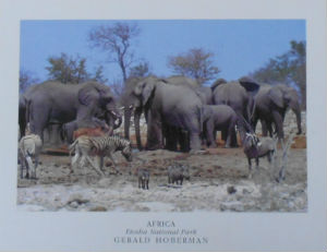 Cartes · Cartes postales Afrique
