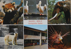 Cartes · Cartes postales Afrique