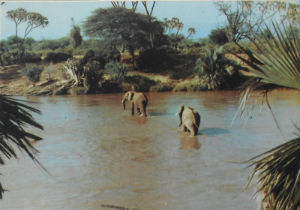 Cartes · Cartes postales Afrique