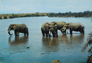 Cartes · Cartes postales Afrique