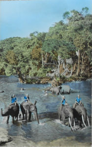 Cartes · Cartes postales Afrique