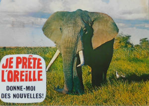 Cartes · Cartes postales Afrique