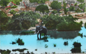 Cartes · Cartes postales Afrique