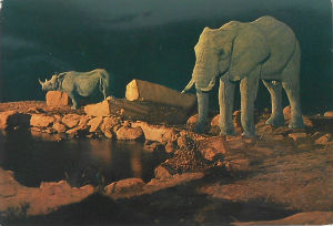 Cartes · Cartes postales Afrique